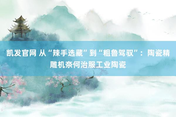 凯发官网 从“辣手选藏”到“粗鲁驾驭”：陶瓷精雕机奈何治服工业陶瓷