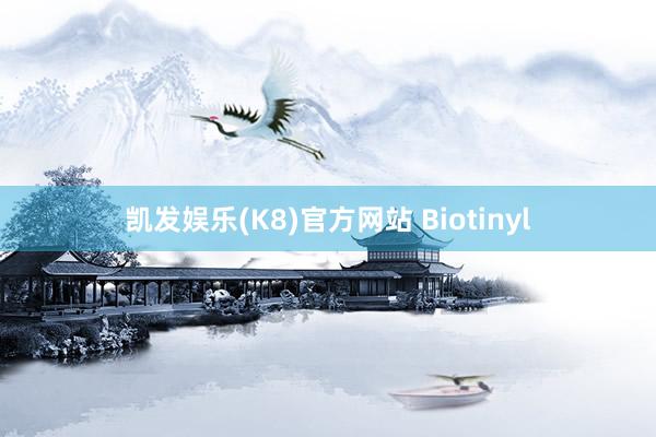 凯发娱乐(K8)官方网站 Biotinyl