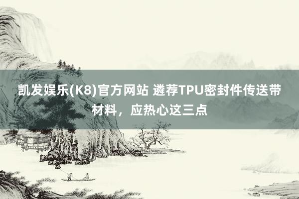 凯发娱乐(K8)官方网站 遴荐TPU密封件传送带材料，应热心这三点