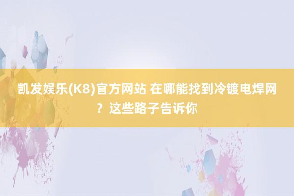 凯发娱乐(K8)官方网站 在哪能找到冷镀电焊网？这些路子告诉你