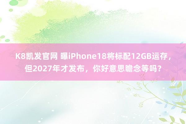 K8凯发官网 曝iPhone18将标配12GB运存，但2027年才发布，你好意思瞻念等吗？