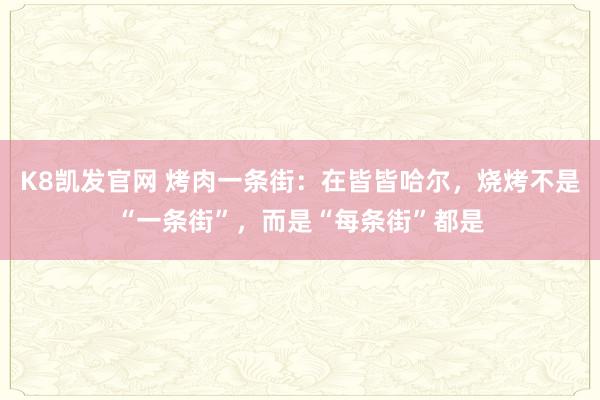 K8凯发官网 烤肉一条街：在皆皆哈尔，烧烤不是“一条街”，而是“每条街”都是