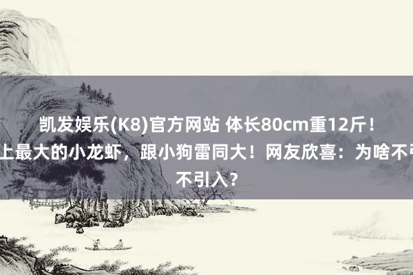 凯发娱乐(K8)官方网站 体长80cm重12斤！天下上最大的小龙虾，跟小狗雷同大！网友欣喜：为啥不引入？