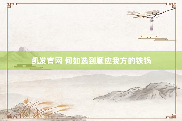 凯发官网 何如选到顺应我方的铁锅