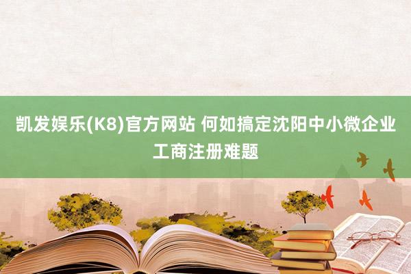 凯发娱乐(K8)官方网站 何如搞定沈阳中小微企业工商注册难题