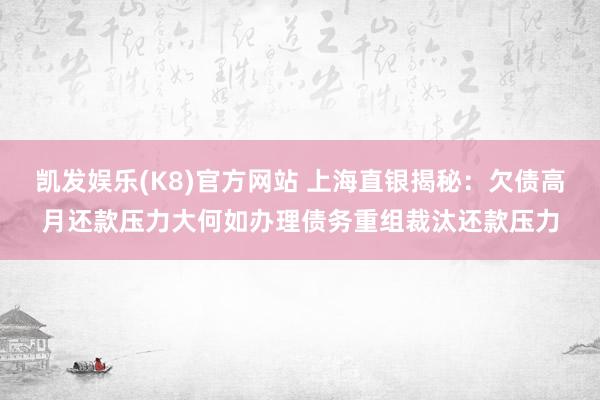 凯发娱乐(K8)官方网站 上海直银揭秘：欠债高月还款压力大何如办理债务重组裁汰还款压力