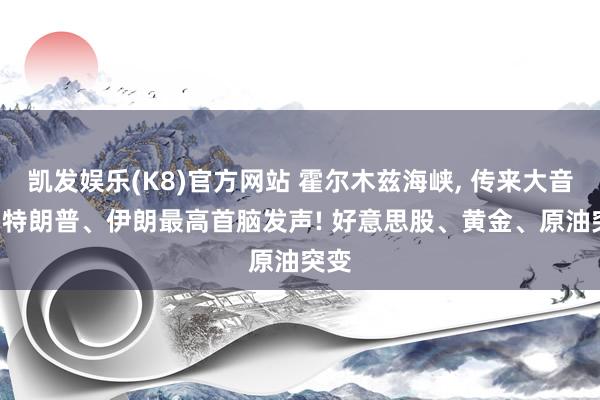 凯发娱乐(K8)官方网站 霍尔木兹海峡， 传来大音问! 特朗普、伊朗最高首脑发声! 好意思股、黄金、原油突变