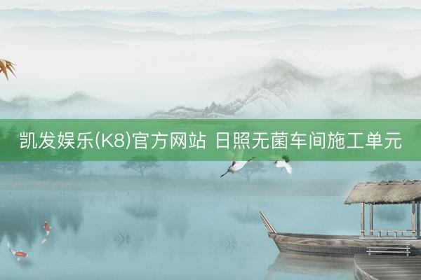 凯发娱乐(K8)官方网站 日照无菌车间施工单元