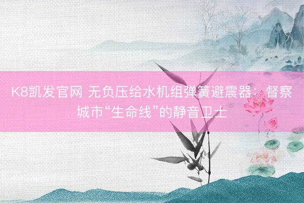 K8凯发官网 无负压给水机组弹簧避震器：督察城市“生命线”的静音卫士