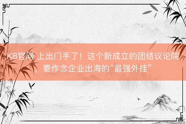 K8官网 上出门手了！这个新成立的团结议论院，要作念企业出海的“最强外挂”