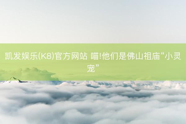 凯发娱乐(K8)官方网站 喵!他们是佛山祖庙“小灵宠”